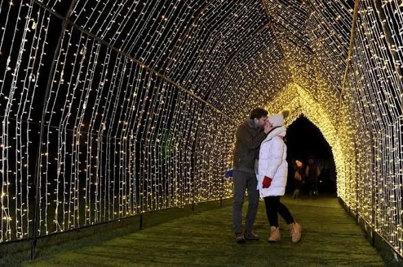 merry christmas wishes images